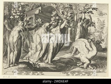 Phaëthon's sisters turn into poplars and his friend into a swan, Hendrick Goltzius (workshop of), After Hendrick Goltzius, 1590 print The daughters of the sun god (the Heliaden) mourn their brother Phaëton and turn into poplars. His friend and related Cycnus turns a swan for fun. Two times two lines of Latin text under the performance. This print is part of a series of 52 prints that represent stories from Ovid's metamorphoses. This series falls into three numbered series: two of 20 prints and one of 12 prints. This print belongs to the second series. Haarlem paper engraving Heliades changed i Stock Photo