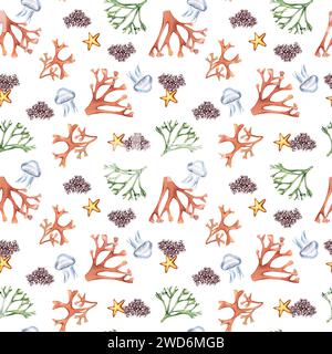 Watercolor seamless pattern of sea plants and starfish isolated on white. Seaweeds and coral hand drawn. Painted colorful algae print. Design element Stock Photo