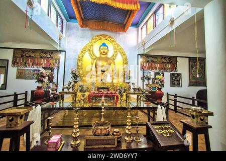 Buddha Golden Idol, Shanti Buddhist Stupa, Leh, Ladakh, Kashmir, India, Asia Stock Photo