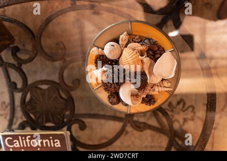 Seashells and pine cones arranged in a bowl on a stylish glass table with wrought iron base Stock Photo