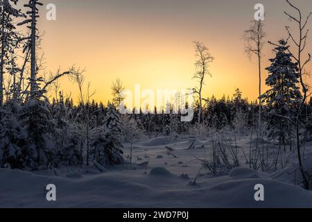 Sunset in the winter forest. Beautiful winter landscape in the forest. Stock Photo