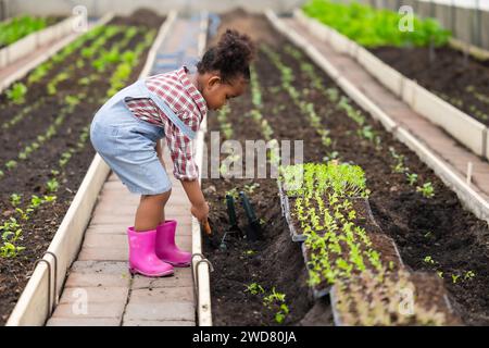 African black child playing planting the green tree gardening in agriculture farm. Children love nature concept. Stock Photo