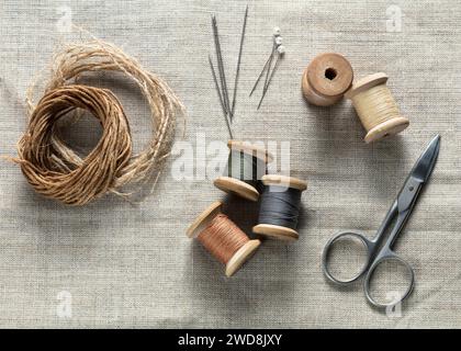 sewing thread with needles  on a canvas Stock Photo