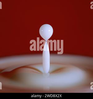 A closeup shot of a a drop of milk against a red backdrop Stock Photo