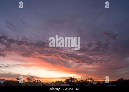 landscape with clouds and  scenic sunset over trees at desert edge at Serisem, shot in bright late spring light in Naukluft desert, Namibia, Africa Stock Photo