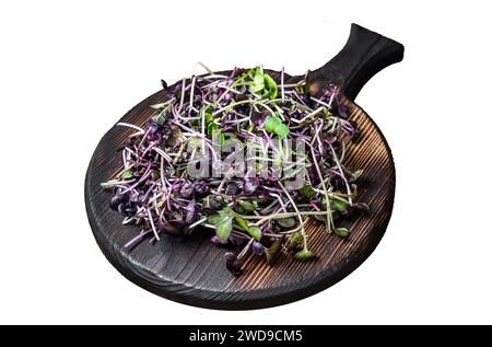 Radish microgreens, green leaves and purple stems. Isolated on white background, Top view Stock Photo