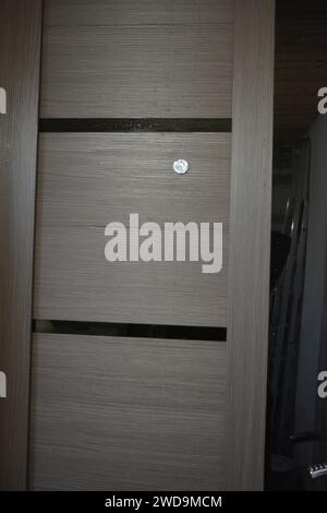 Construction and renovation works, beautiful and stylish street door. The interior of the doors is made of grey wood, glass and new accessories. Stock Photo