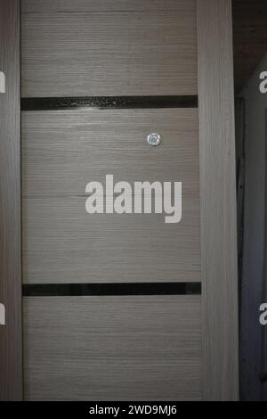 Construction and renovation works, beautiful and stylish street door. The interior of the doors is made of grey wood, glass and new accessories. Stock Photo