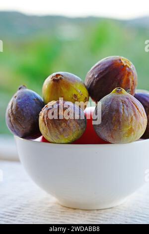 Bowl of ripe green and purple figs in summer Stock Photo