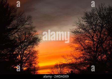 Vivid sunset behind silhouetted trees at dusk Stock Photo