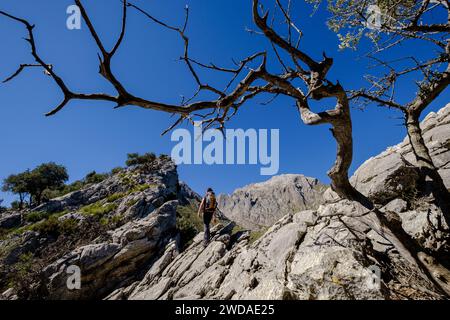 cresta del Puig de Ses Vinyes, Escorca, Mallorca, balearic islands, Spain Stock Photo