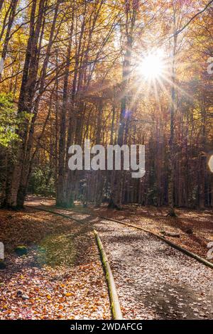 adapted path, Ordesa i Monte Perdido National Park, Province of Huesca, Aragon Stock Photo