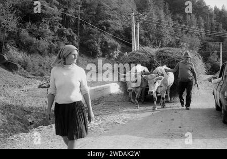 Vrancea County, Romania, approx. 1991. Couple on the village lane with a cattle drawn cart filled with hay. Stock Photo