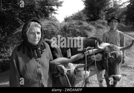 Vrancea County, Romania, approx. 1991. Farmer on the village lane with a cattle drawn cart filled with hay. Stock Photo