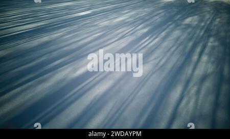 Snowdrift background with shadow of trees, tree shadows lie on the ice covered by snow, aerial low angle view. Stock Photo