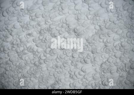 Squash court with scuff marks from ball on wall for background Stock Photo