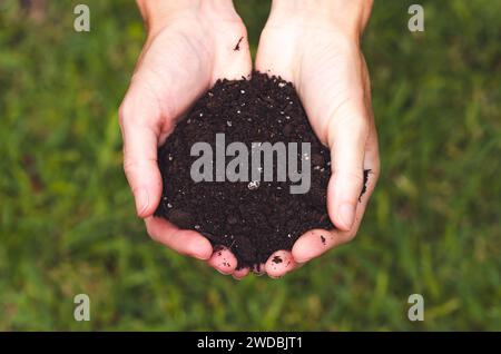 Female hands holding soil on green grass background, top view. Earth day concept. Stock Photo