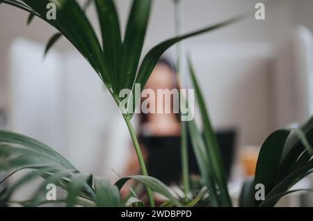 Business female working and discussing reports in a creative office. Blurred photo. Stock Photo