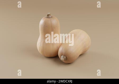 Photograph of Butternut Squash on solid background Stock Photo