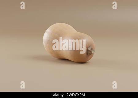 Photograph of Butternut Squash on solid background Stock Photo