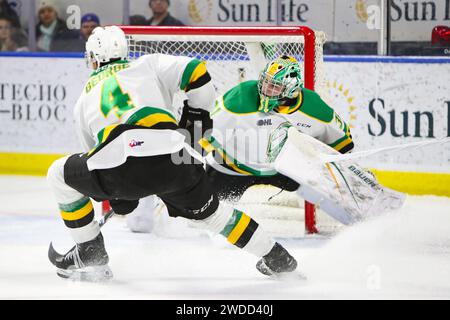 Barrie Canada 19th Jan 2024 Kitchener Ontario Canada Jan 19 2024 The London Knights Extend Their Winning Streak To 13 Games With A Win Over Kitchener Michael Simpson31of The London Knights Editorial Only Credit Luke Durdaalamy Live News 2wdd40j 