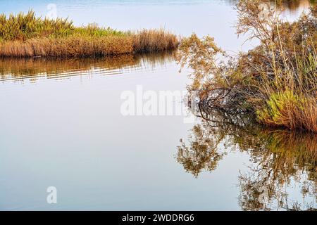 Sunset at the gialova lagoon. The gialova lagoon is one of the most important wetlands in Europe. Greece. Stock Photo