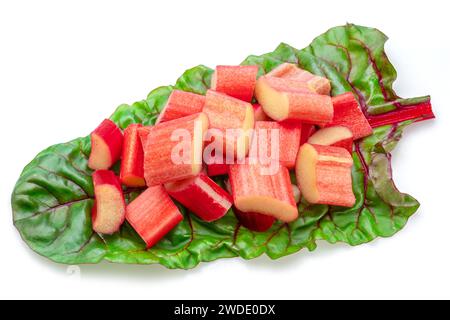 Red rhubarb stems' cuts over rhubarb leaves isolated on white background. Stock Photo