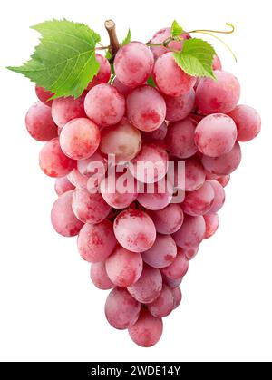 Bunch of pink table grapes with grape leaves isolated on a white background. Great fruits background for your projects. Stock Photo