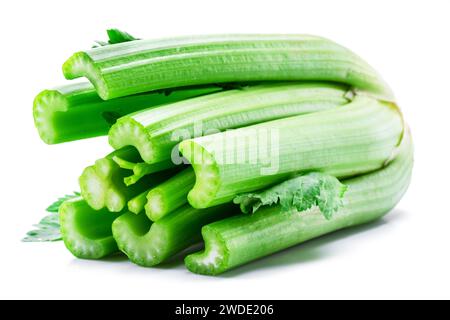 Fresh celery stalk isolated on white background. Stock Photo