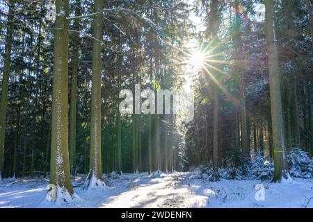 winter forest with sun rays in Vogtland, Saxony Germany Stock Photo