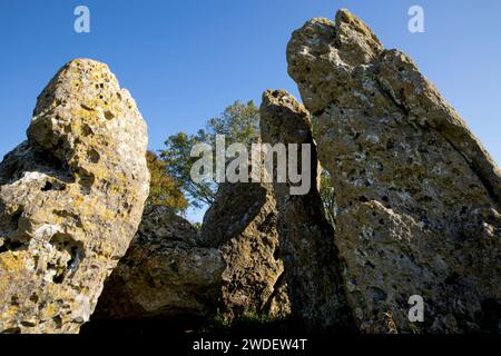 The Whispering Knights, Rollright Stones megalithic monument, at Little Rollright near Chipping Norton, Oxfordshire, England Stock Photo