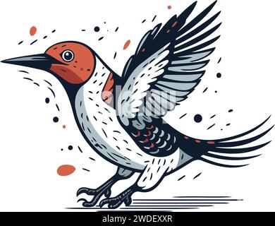 Hand drawn vector illustration of a red bellied woodpecker. Isolated objects on white background. Stock Vector