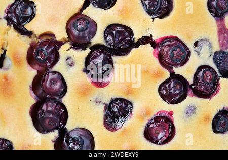 Closeup of freshly baked blueberry cake's tasty texture Stock Photo