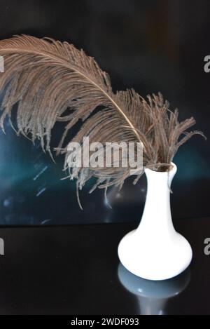Home furnishings, style, white ceramic vase with large grey ostrich feather set on black glossy background. Stock Photo