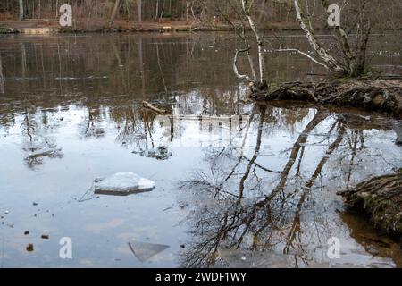 Wexham, UK. 20th January, 2024. The lake at Black Park Country Park in Wexham, Buckinghamshire remains frozen over after days of icy cold weather. Credit: Maureen McLean/Alamy Live News Stock Photo