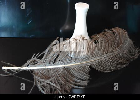 Home furnishings, style, white ceramic vase with large grey ostrich feather set on black glossy background. Stock Photo