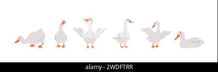 Set of cute farm gooses. Domestic and wild ducks on white background. Agriculture birds. Rural wildlife. Perfect for logo, greeting card and wrapping Stock Vector
