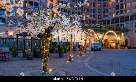 Spring blossoms along the streets of Victoria, Vancouver Island, British Columbia, Canada. Stock Photo