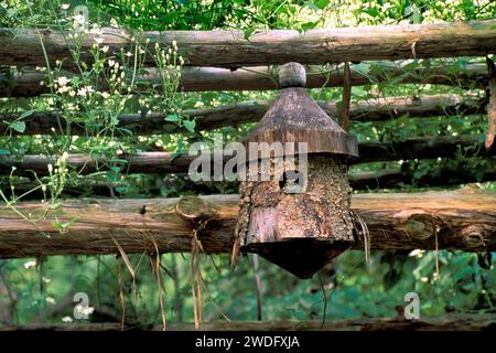 Toad sits in a birdhouse high up on a garden arbor looking out  from the opening, Missouri, USA Stock Photo