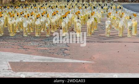 December 13, 2019: For editorial use only. Rows of bottles of ginseng liquor sitting in sun in parking lot. Geumsan, South Korea Stock Photo