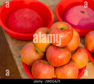 Fresh apples stacked in red plastic colander for sale by street merchant Stock Photo