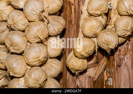Dried garlic cloves hanging on wooden wall Stock Photo
