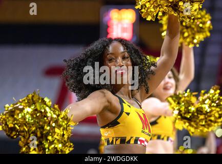 College Park, USA. 20th Jan, 2024. COLLEGE PARK, MD: - JANUARY 20: Maryland cheerleaders perform during a women's college basketball game between the Maryland Terrapins and the Illinois Fighting Illini at Xfinity Center, in College Park, Maryland on January 20, 2024. (Photo by Tony Quinn/SipaUSA) Credit: Sipa USA/Alamy Live News Stock Photo