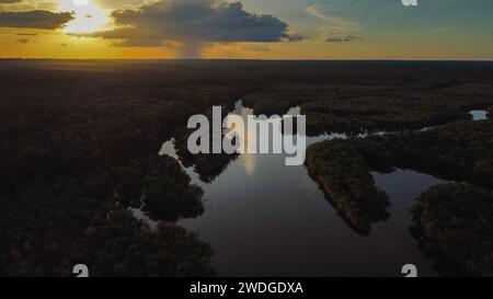 The Rio flowing in the dense Amazon forest in Brazil Stock Photo