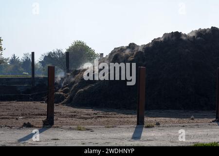 steaming manure Stock Photo