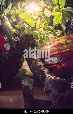 Rio de Janeiro, Brazil. 21st Jan, 2024. Severe tropical storm aftermath with flooded streets, downed trees and power lines at night in Rio de Janeiro, Brazil Credit: Alexandre Rotenberg/Alamy Live News Stock Photo
