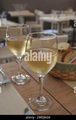 Rome / Italy   19.July 2019/Glass of white wine Carrettiere castelli romani blanco 2018   (Photo..Francis Dean / Deanpictures. Stock Photo