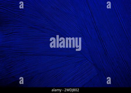 Blue abstract plastic foil background with 3d effect and bubbles Stock Photo