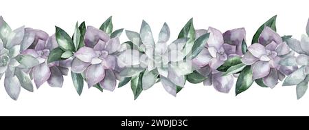 Watercolor border with succulents. Illustration of an indoor flower, top view. Stone rose for design and cards Stock Photo