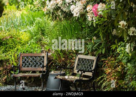 Two wood and metal garden seats on grey gravel with rhodendrons in flower above in a lush garden with fernsand a large plantpot upturned as a table Stock Photo